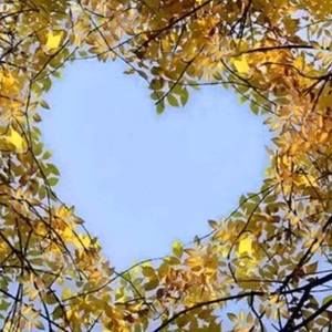 Meet your Posher, Brittney